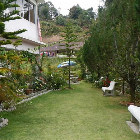 Krs Pines Hotel Cameron Highlands Zewnętrze zdjęcie