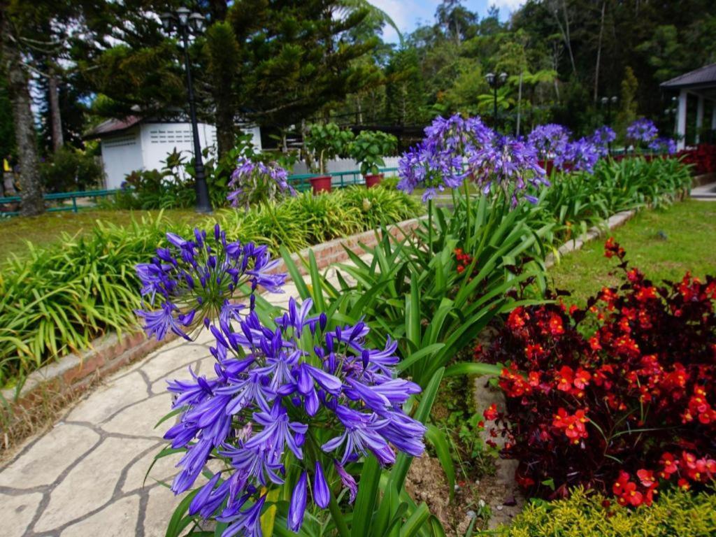 Krs Pines Hotel Cameron Highlands Zewnętrze zdjęcie
