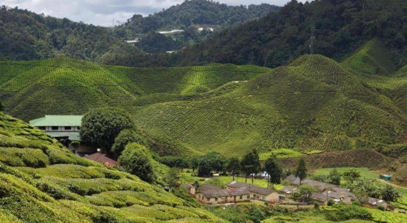 Krs Pines Hotel Cameron Highlands Zewnętrze zdjęcie
