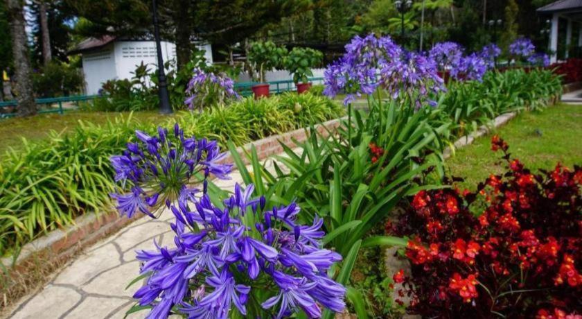 Krs Pines Hotel Cameron Highlands Zewnętrze zdjęcie